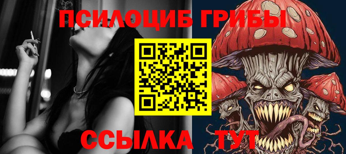 Галлюциногенные грибы Psilocybe Фурманов